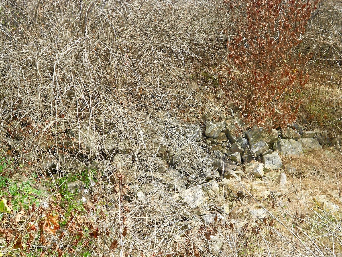 The remains of Monroe Furnace, the charcoal iron stack northwest of McAlevys Fort.